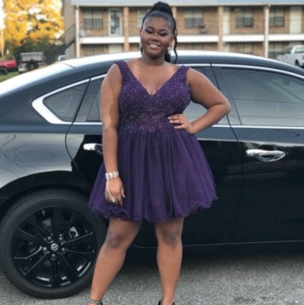 Embroidered Sheer Plus Size Dress with V-Back